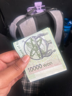 My First Steps Into South&nbsp;Korea